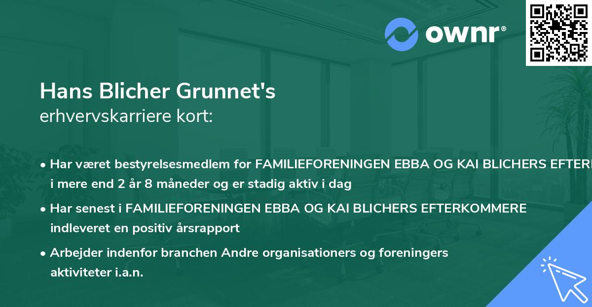 Hans Blicher Grunnet's erhvervskarriere kort