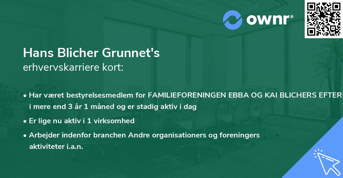 Hans Blicher Grunnet's erhvervskarriere kort