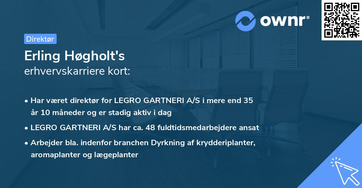 Erling Høgholt's erhvervskarriere kort