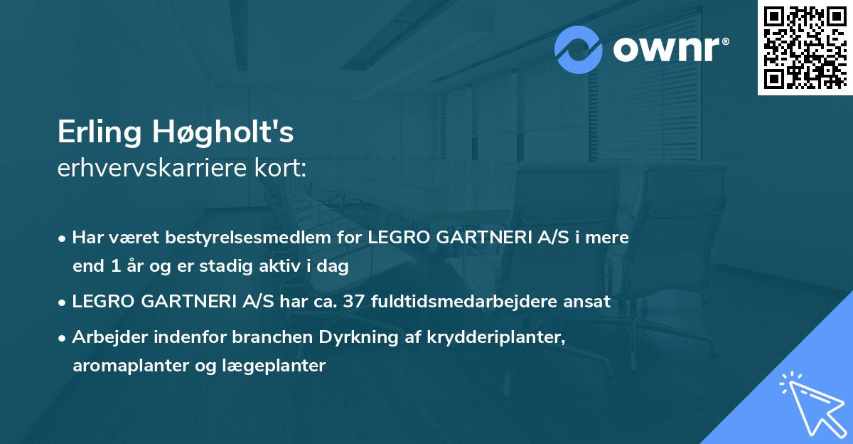 Erling Høgholt's erhvervskarriere kort