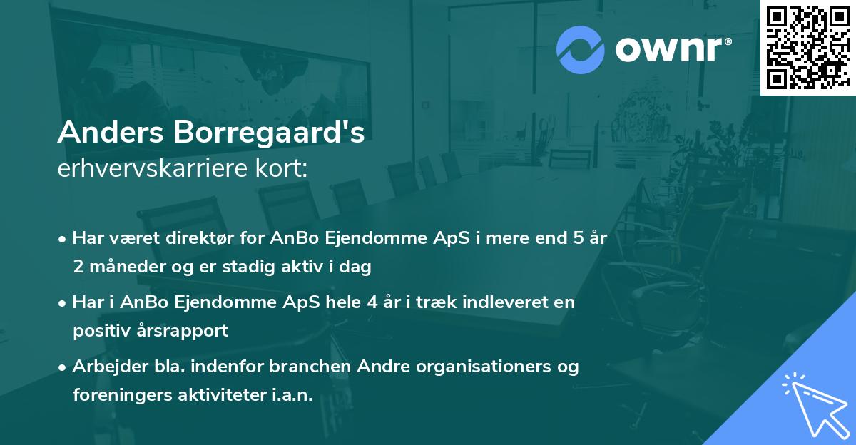 Anders Borregaard's erhvervskarriere kort