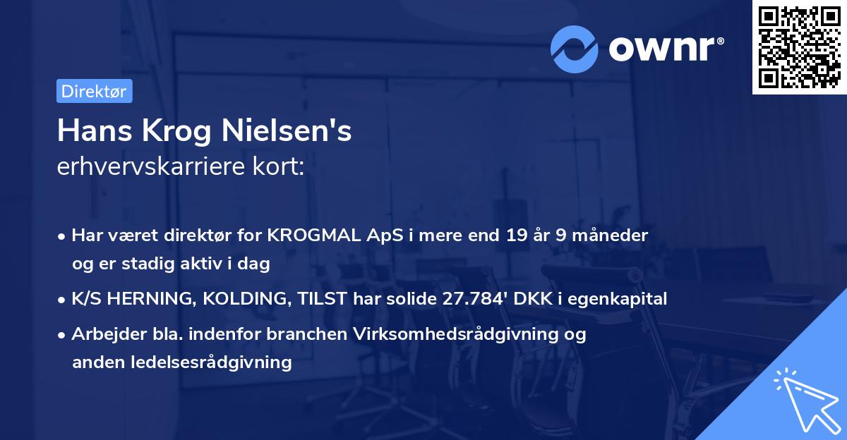 Hans Krog Nielsen's erhvervskarriere kort