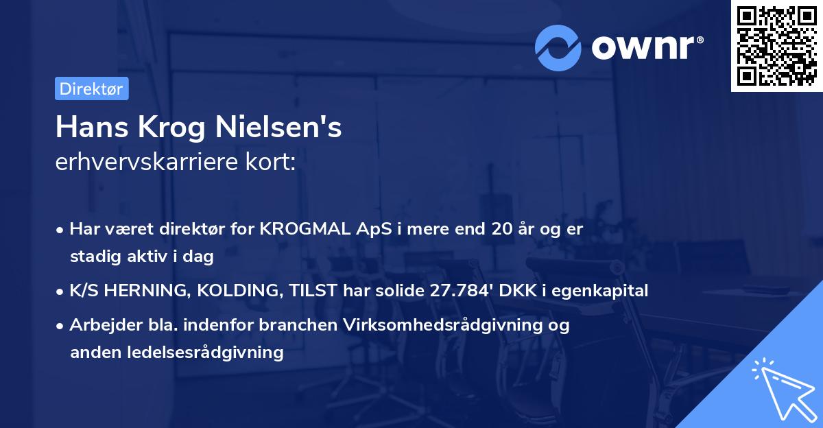 Hans Krog Nielsen's erhvervskarriere kort