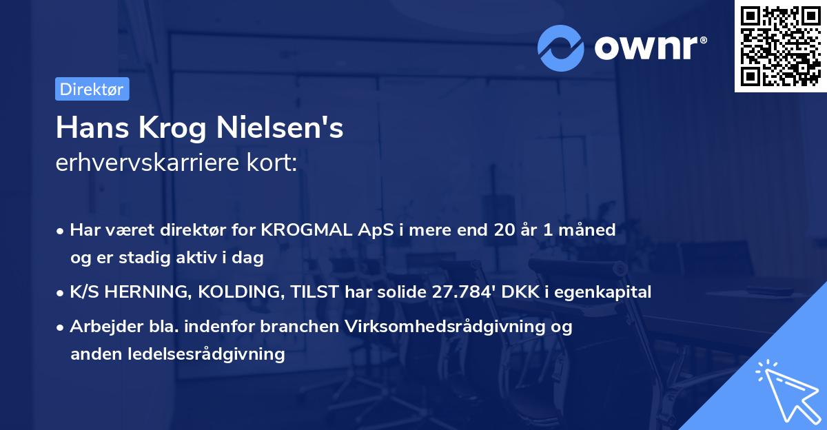 Hans Krog Nielsen's erhvervskarriere kort