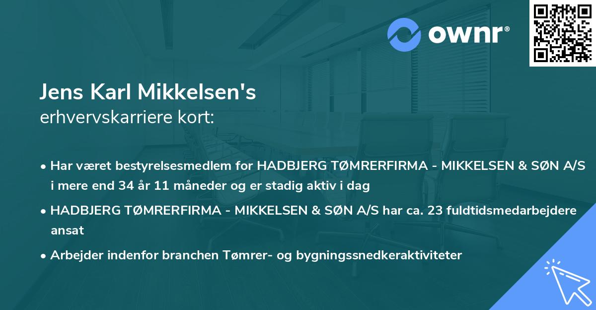 Jens Karl Mikkelsen's erhvervskarriere kort