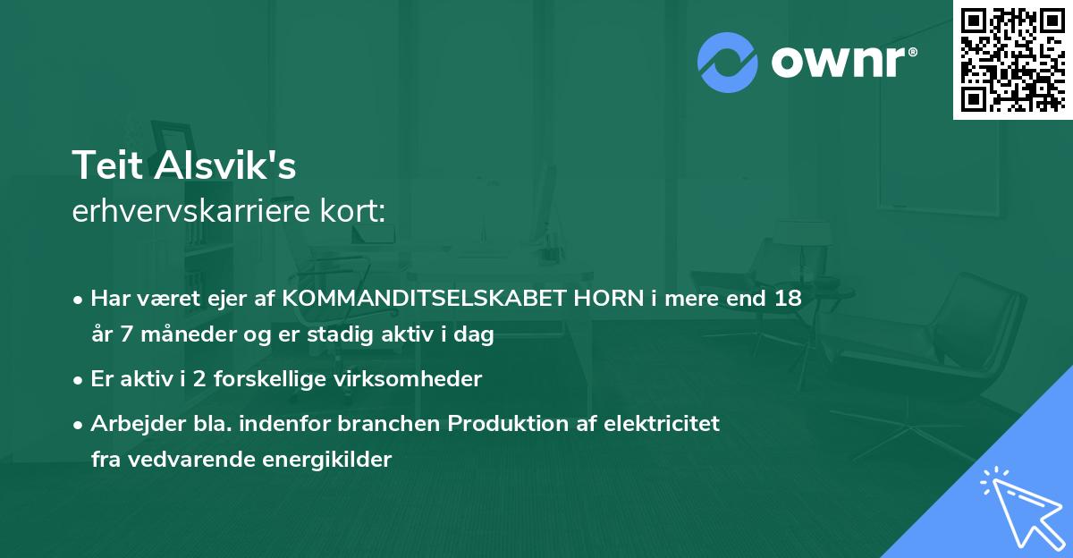Teit Alsvik's erhvervskarriere kort