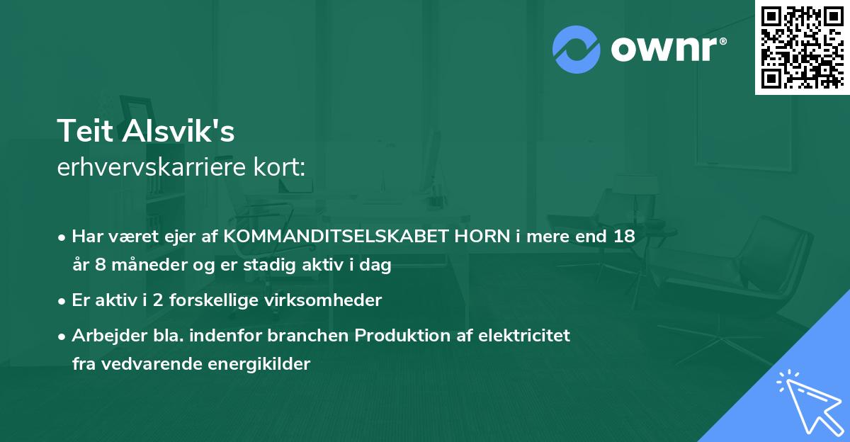 Teit Alsvik's erhvervskarriere kort