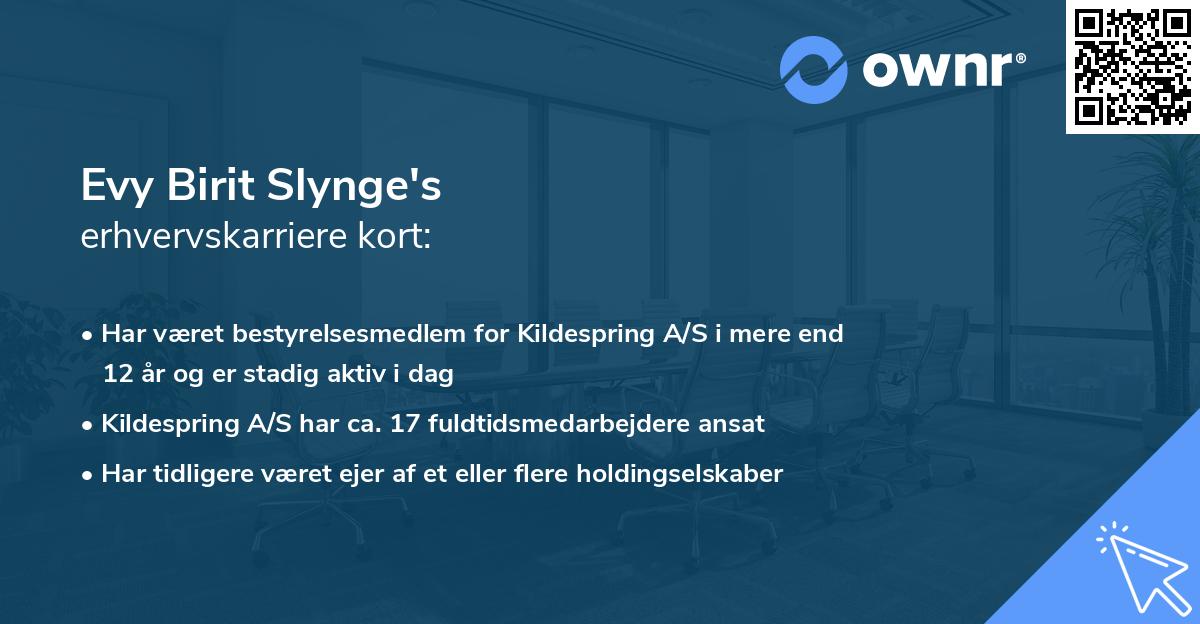 Evy Birit Slynge's erhvervskarriere kort