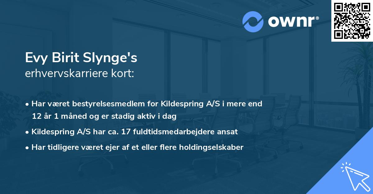 Evy Birit Slynge's erhvervskarriere kort