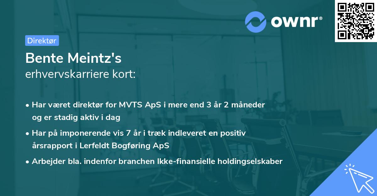 Bente Meintz's erhvervskarriere kort