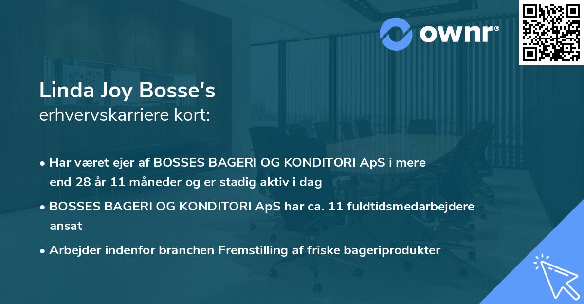 Linda Joy Bosse's erhvervskarriere kort