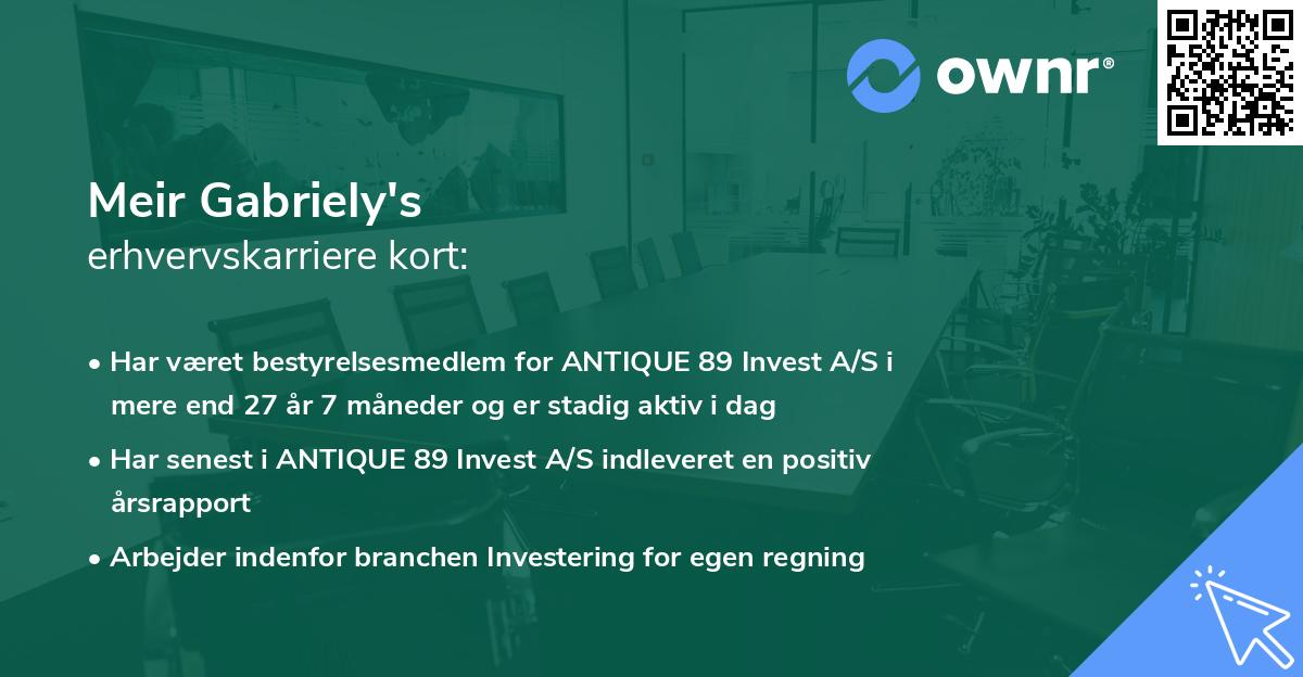 Meir Gabriely's erhvervskarriere kort