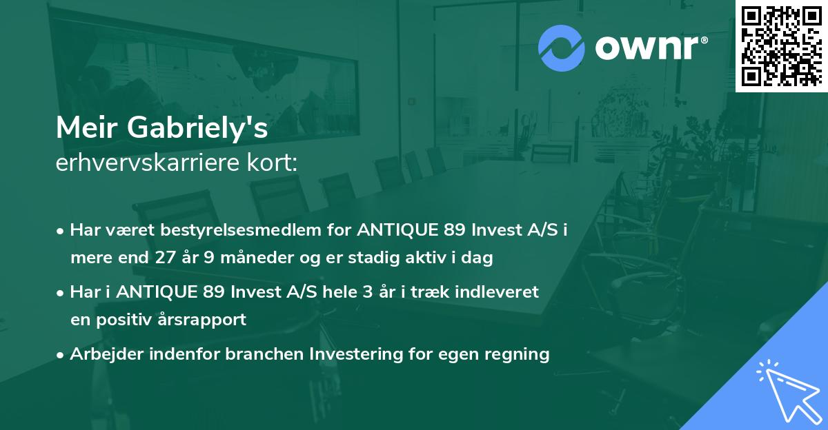 Meir Gabriely's erhvervskarriere kort