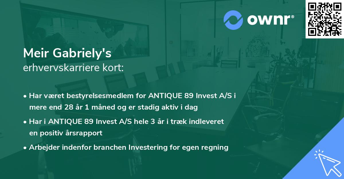 Meir Gabriely's erhvervskarriere kort