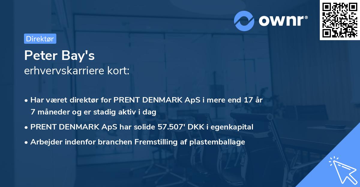 Peter Bay's erhvervskarriere kort
