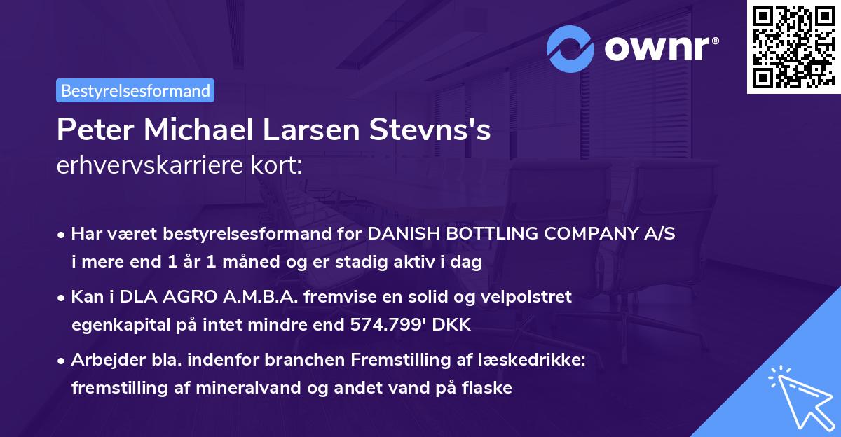 Peter Michael Larsen Stevns's erhvervskarriere kort