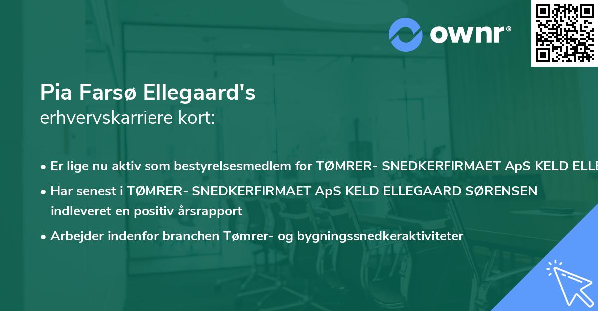 Pia Farsø Ellegaard's erhvervskarriere kort