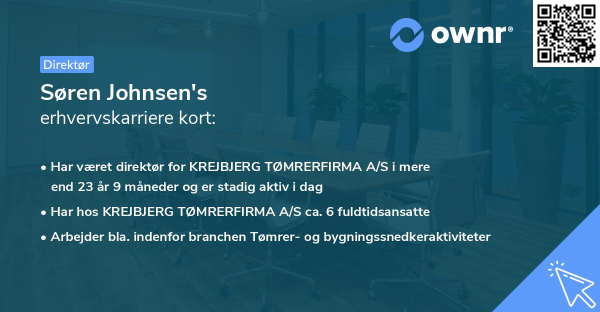 Søren Johnsen's erhvervskarriere kort