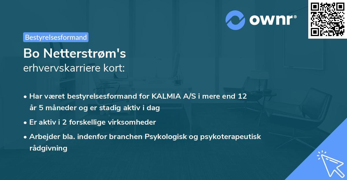 Bo Netterstrøm's erhvervskarriere kort