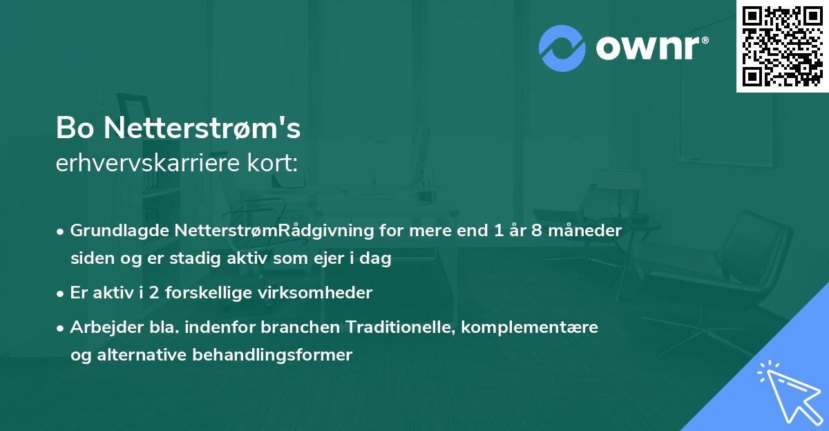 Bo Netterstrøm's erhvervskarriere kort
