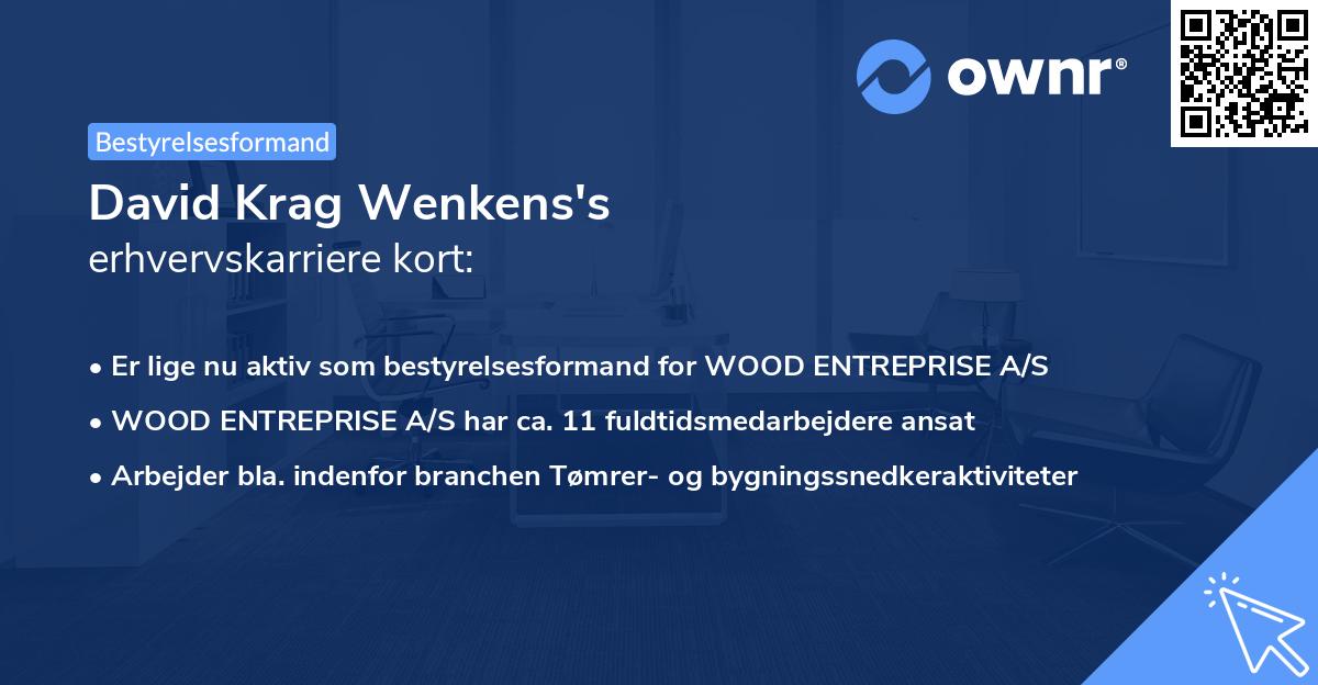 David Krag Wenkens's erhvervskarriere kort