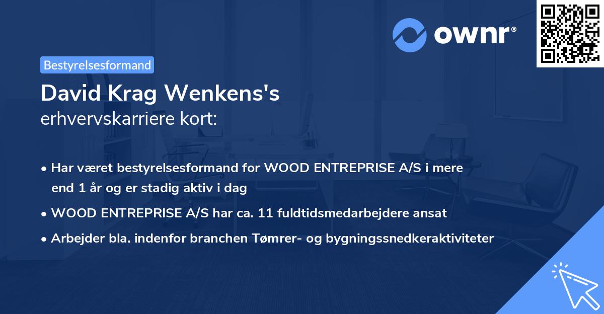 David Krag Wenkens's erhvervskarriere kort