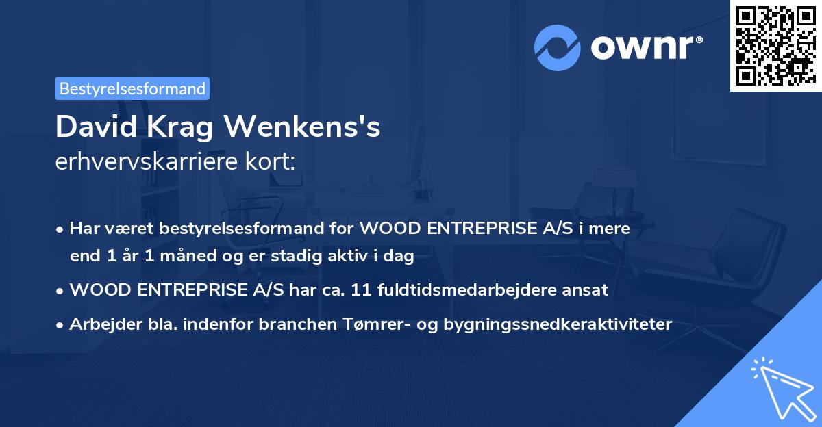 David Krag Wenkens's erhvervskarriere kort
