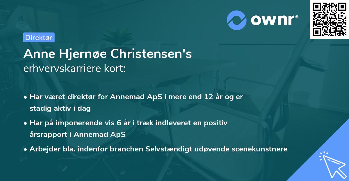 Anne Hjernøe Christensen's erhvervskarriere kort