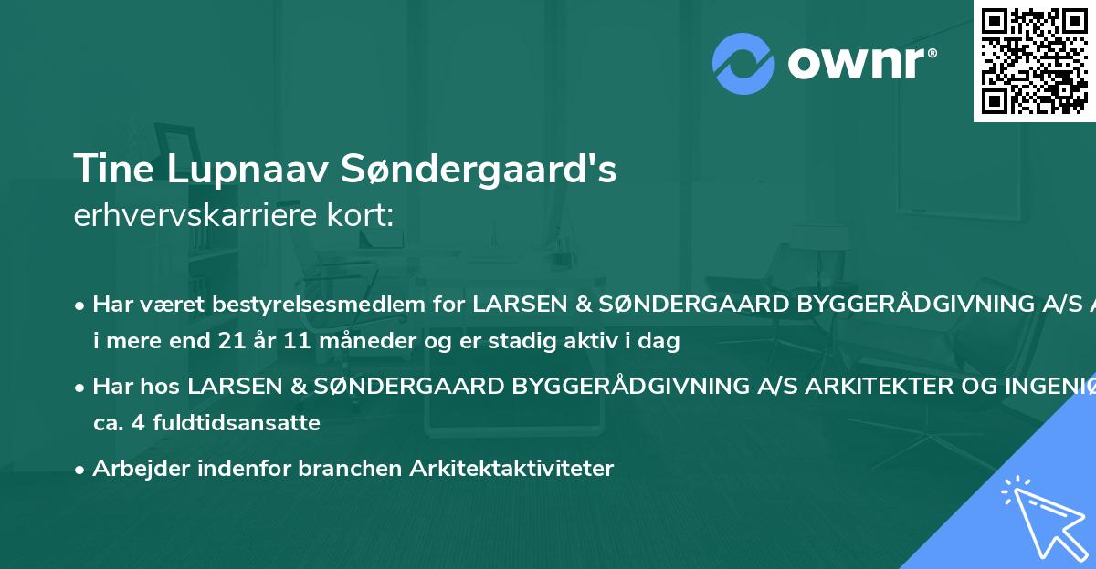 Tine Lupnaav Søndergaard's erhvervskarriere kort