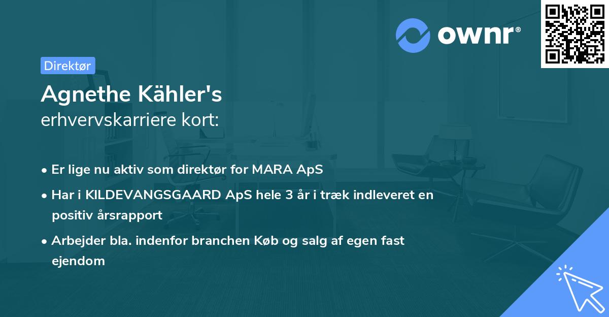 Agnethe Kähler's erhvervskarriere kort