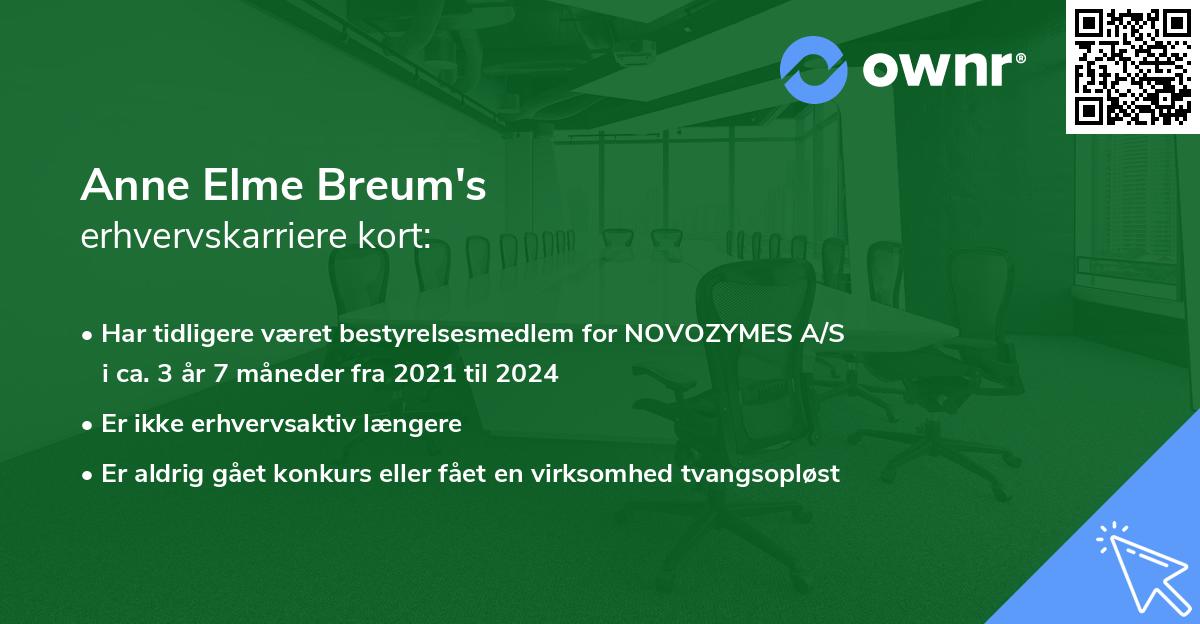 Anne Elme Breum's erhvervskarriere kort
