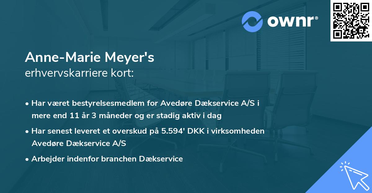 Anne-Marie Meyer's erhvervskarriere kort