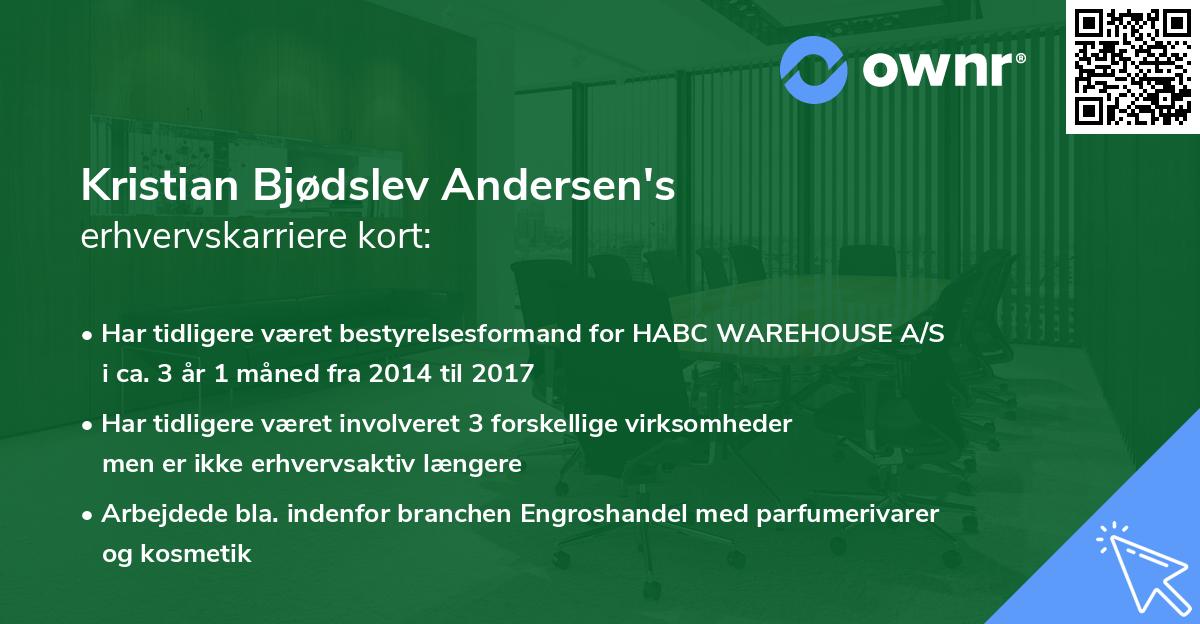 Kristian Bjødslev Andersen's erhvervskarriere kort