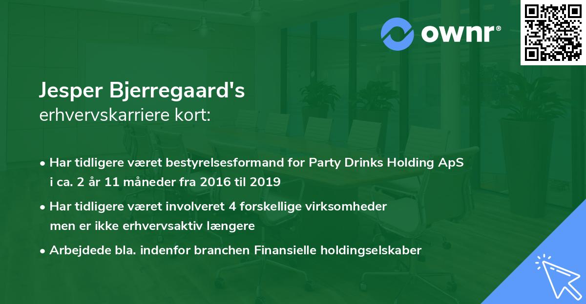 Jesper Bjerregaard's erhvervskarriere kort