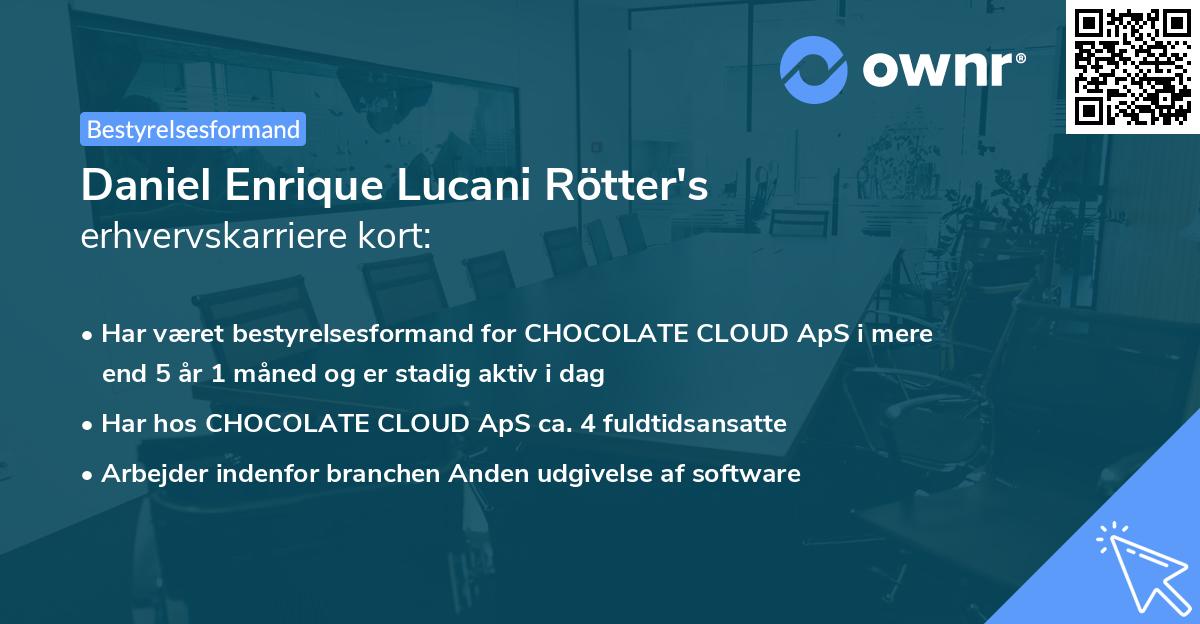 Daniel Enrique Lucani Rötter's erhvervskarriere kort