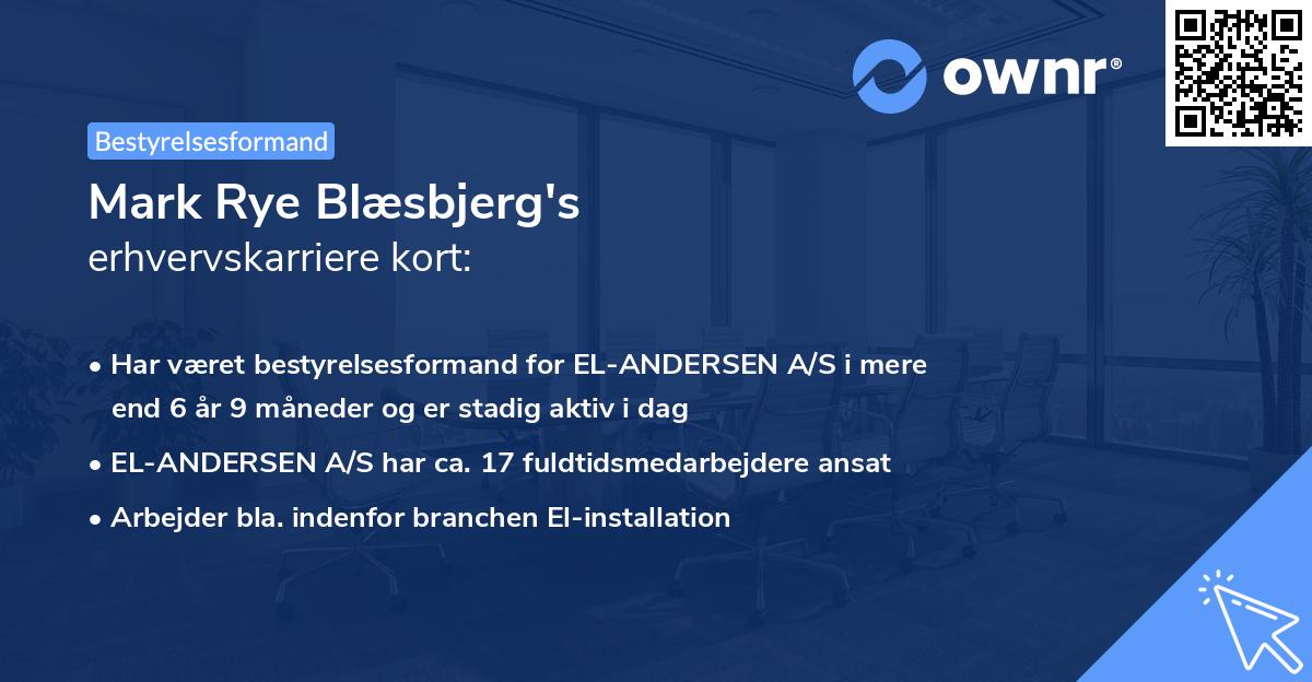Mark Rye Blæsbjerg's erhvervskarriere kort