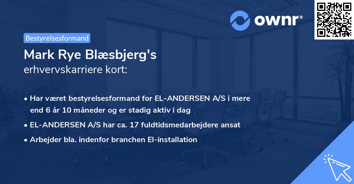 Mark Rye Blæsbjerg's erhvervskarriere kort