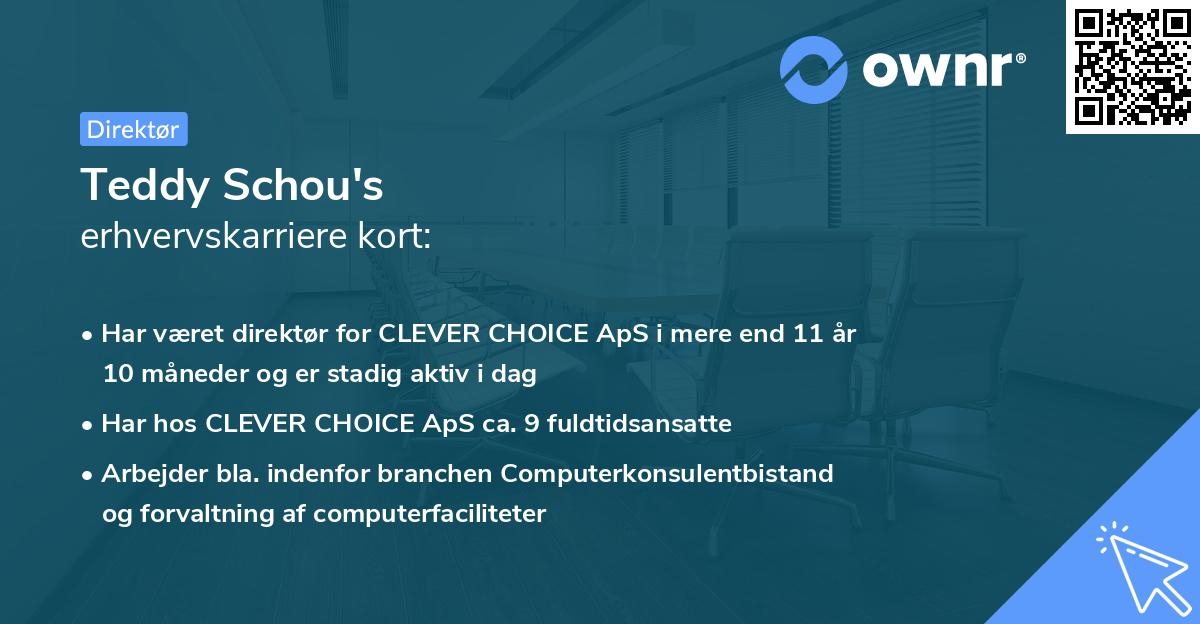 Teddy Schou's erhvervskarriere kort