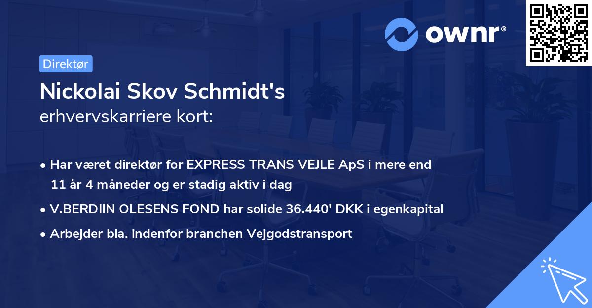 Nickolai Skov Schmidt's erhvervskarriere kort