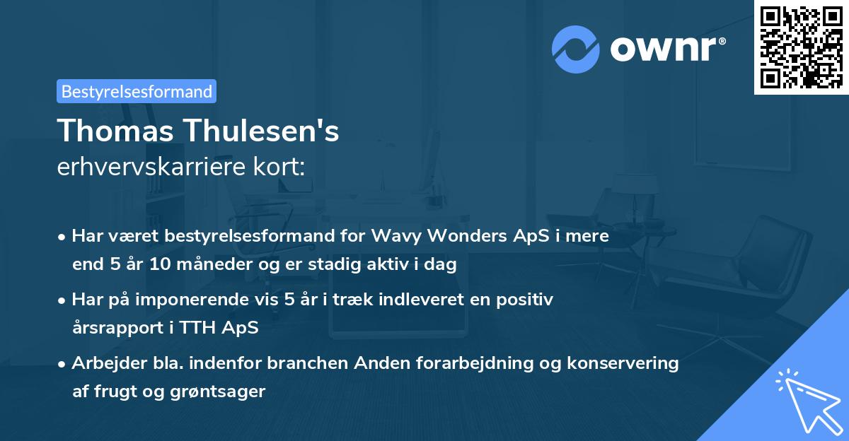 Thomas Thulesen's erhvervskarriere kort