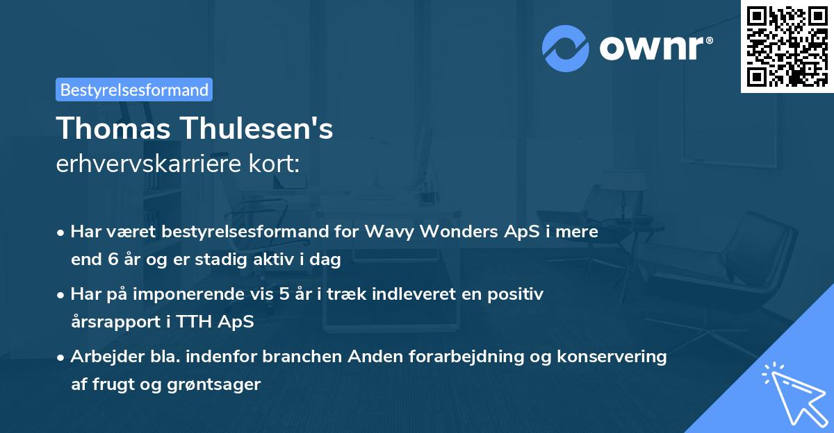 Thomas Thulesen's erhvervskarriere kort