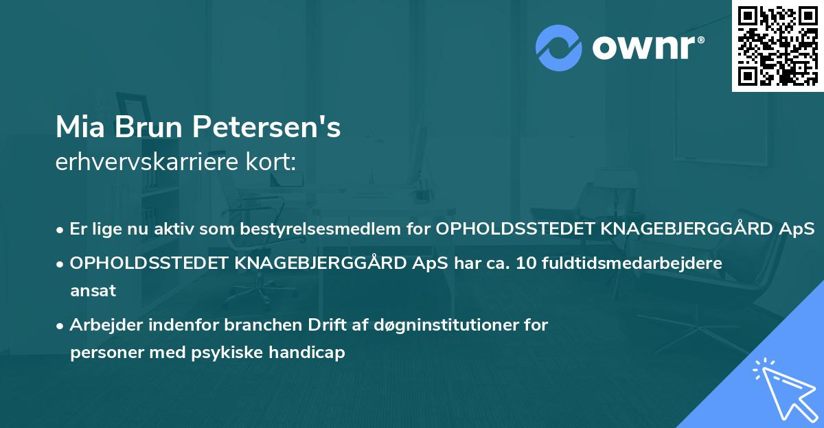 Mia Brun Petersen's erhvervskarriere kort
