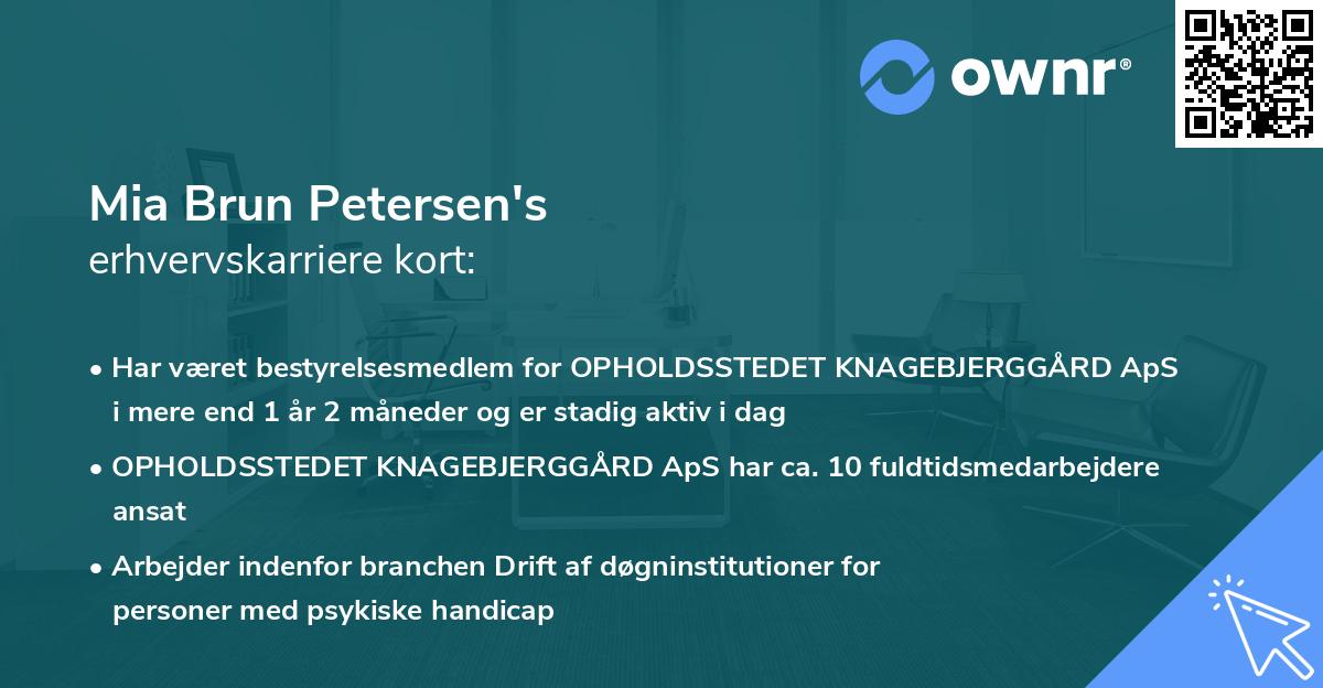 Mia Brun Petersen's erhvervskarriere kort