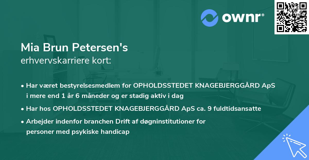 Mia Brun Petersen's erhvervskarriere kort