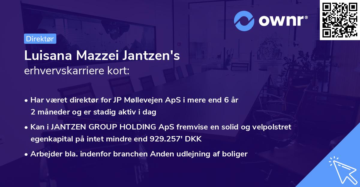 Luisana Mazzei Jantzen's erhvervskarriere kort
