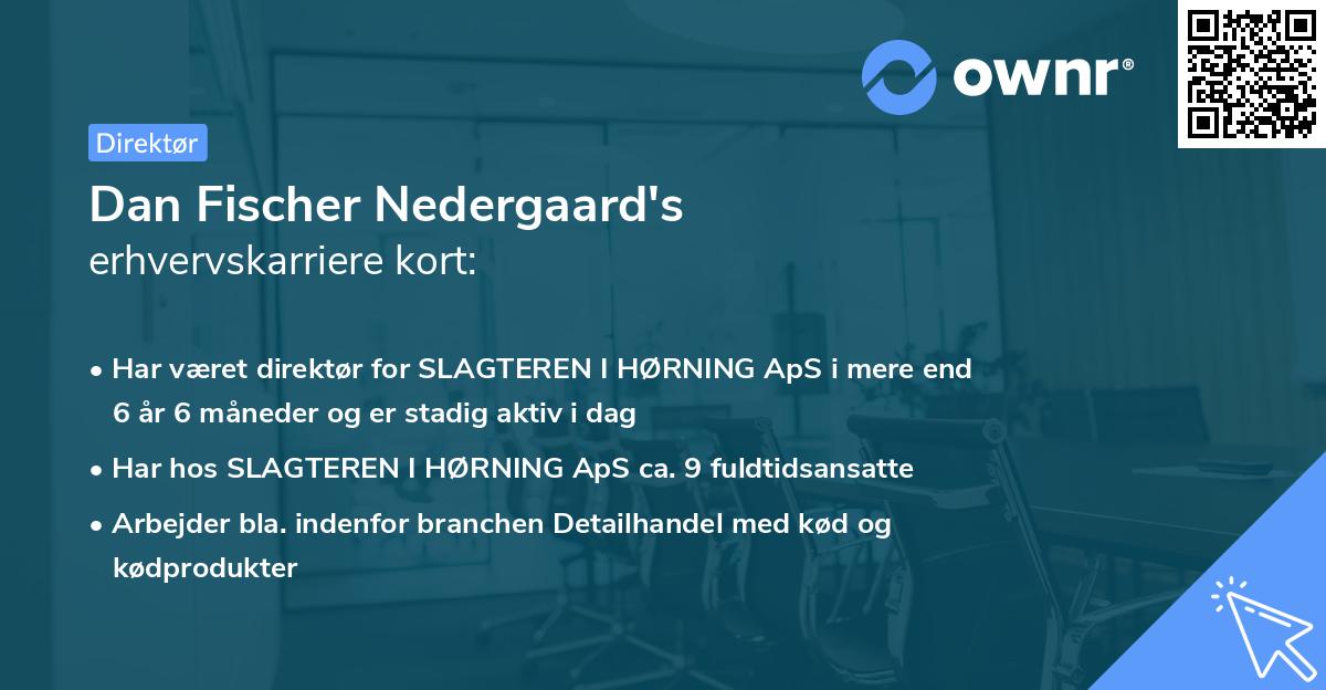 Dan Fischer Nedergaard's erhvervskarriere kort