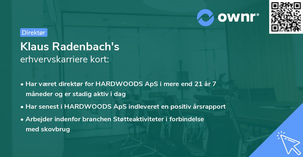 Klaus Radenbach's erhvervskarriere kort