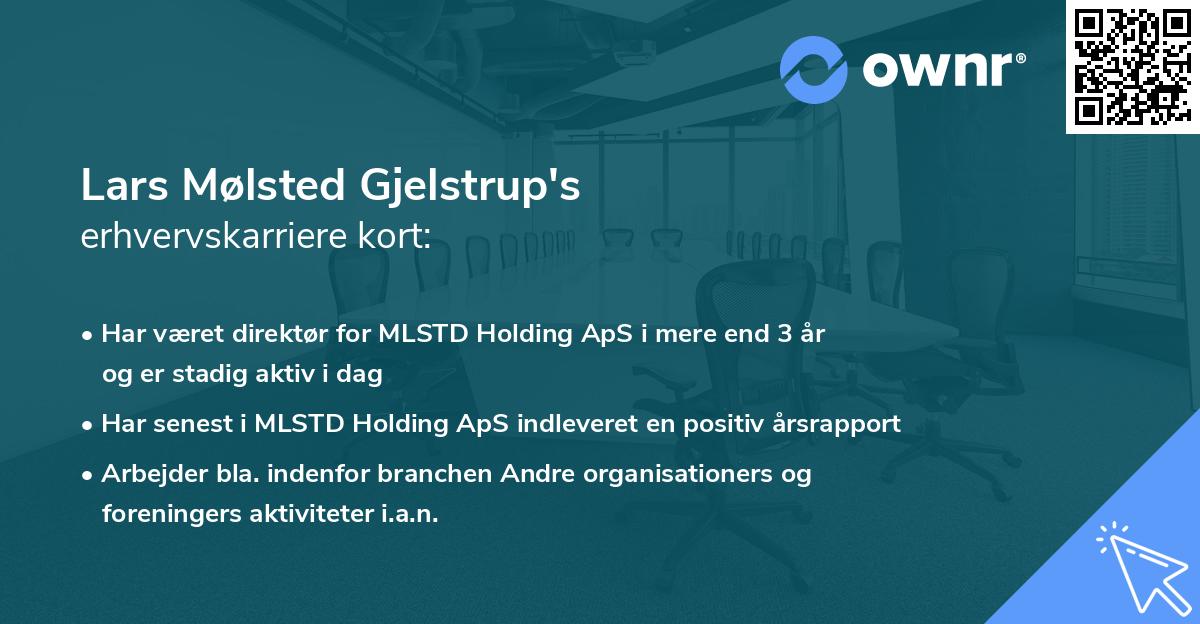 Lars Mølsted Gjelstrup's erhvervskarriere kort