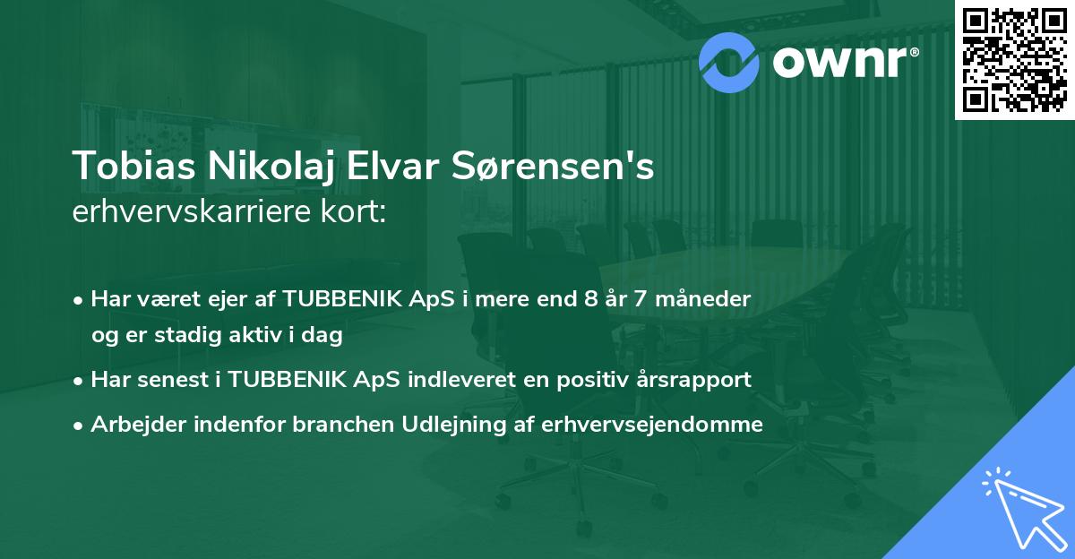 Tobias Nikolaj Elvar Sørensen's erhvervskarriere kort