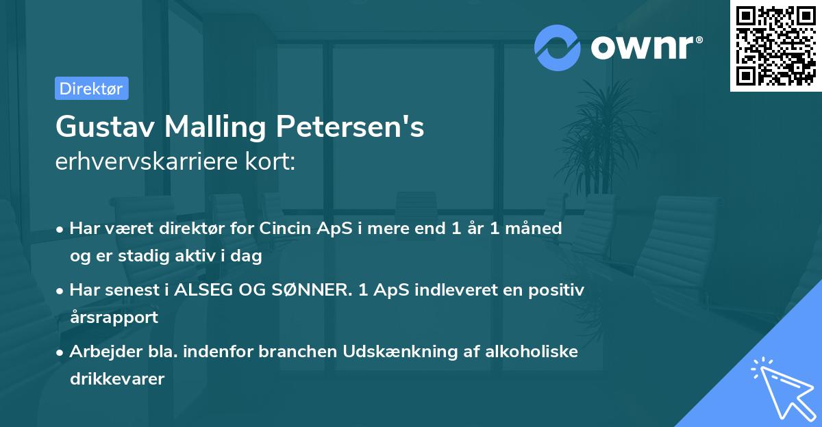 Gustav Malling Petersen's erhvervskarriere kort